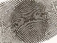? | Detail