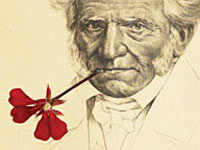Schopenhauer | Detail